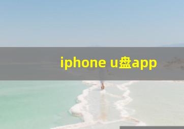 iphone u盘app